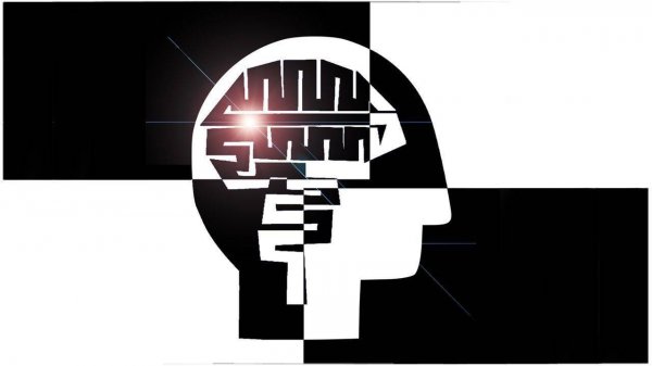 Jungle Memory Match Puzzle
