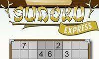 Sudoku Express Logic Puzzle