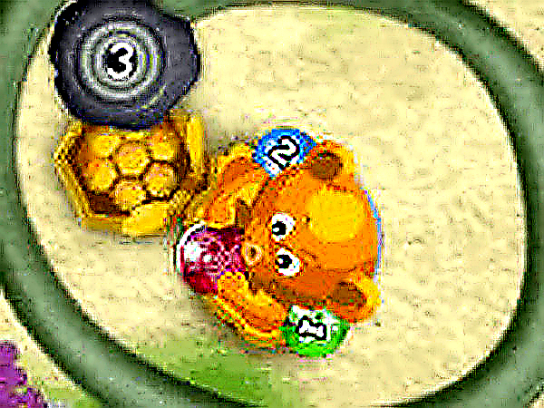 Honey Bear Color Match