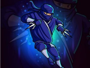 Stealth Puzzle Quest