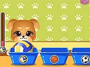 Puppy Dressup Fun Game